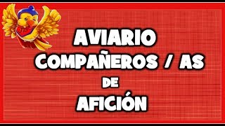 AVIARIOS de CANARIOS JILGUEROS y PAJAROS EXOTICOS 🐦 🐤 ABIERTO ✅ [upl. by Pip]