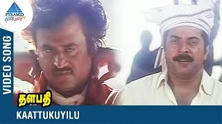 Rajinikanth Song  Kaattukuyilu Video Song  Thalapathi  Mammootty  Yesudas  SPB  Ilayaraja [upl. by Inama148]