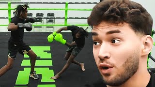 Adin Ross INSANE Knock Out During Boxing Match [upl. by Hynda]