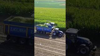 Chopping corn silage ClassJaguar990 Zaccaria trail NewHollandT7245 farming agriculture farmlife [upl. by Adnawed]