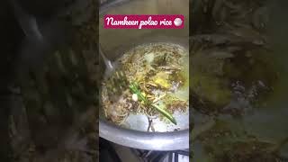 simple namkeen polao rice 🍛 recipe 👨‍🍳🍚🍛 [upl. by Saideman]