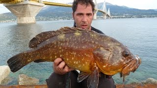 ΜΕΓΑΛΟΣ ΡΟΦΟΣ ΜΕ ΚΑΛΑΜΙ HEAVY CASTING ZAVRASGROUPER FISHING [upl. by Meade]