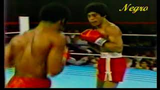 Eusebio Pedroza Vs Juan Laporte [upl. by Norrahc]