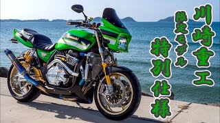 販売台数300台限定！特別仕様車のフルカスタム！紹介します！kawasaki ZRX1200 DAEG [upl. by Cristen]