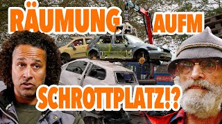 ALLES MUSS WEG  WAS IST DA LOS I Freds Revier Folge 78 [upl. by Mapes336]