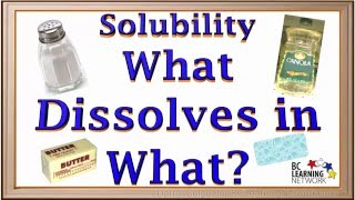 WCLN  Solubility  What dissolves in what [upl. by Sergu]