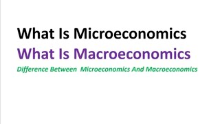 What Is Microeconomics And Macroeconomics Difference Between Microeconomics And Macroeconomics [upl. by Alba482]