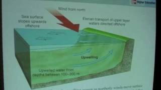 World Ocean Circulation  Upwelling [upl. by Ecirtac]