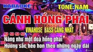 Karaoke Cánh Hồng Phai Tone Nam Remix  Bass mới mạnh mẽ [upl. by Lemrahs904]