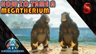 ARK SURVIVAL ASCENDED HOW TO TAME A MEGATHERIUM [upl. by Fulcher]