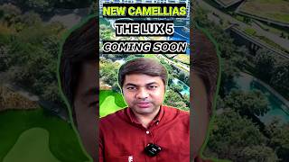 DLF Will Launch Camellias 2 More Luxury Than Camellias 1  propertylenden [upl. by Alatea]