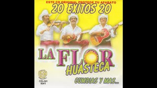 La Flor Huasteca  Cumbia Huastequita [upl. by Gomer]