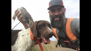 Nebraska Sandhills Prairie Grouse 2018 [upl. by Dayna]