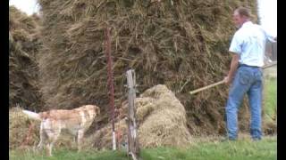 English Documentary Crofting and harvesting [upl. by Aicena]