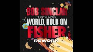 Bob Sinclar  World Hold On FISHER Rework ft Steve Edwards Studio Acapella [upl. by Oicapot357]