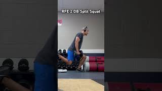 RFE 2 DB Split Squat [upl. by Narahs621]