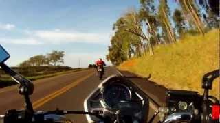 Hornet vs Fazer 600 GOPRO 2 [upl. by Bronder]