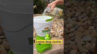 Secret Low Sugar Lemon Drop Slushie Formula [upl. by Johnsson]