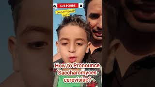 How to Say 米SaccharomycesCerevisiae048How to Pronounce Saccharomyces cerevisiae CORRECTLY [upl. by Vita]