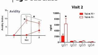 The Immunology of OilinWater Adjuvants for Influenza Vaccines [upl. by Gene962]