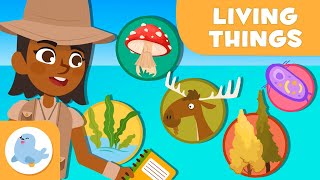 The Classification of Living Things 🦠 🐰 5 ANIMAL KINGDOMS 🌱 Science for Kids [upl. by Wescott]