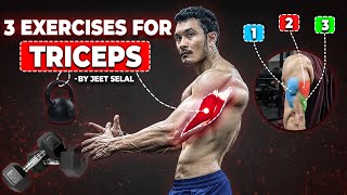 Target Your Triceps 3 Effective Exercises You Need to Try jeetselal hsacademy [upl. by Eelrak]