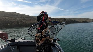 DUNGENESS CRAB amp GOOD TIMES Tomales bay crabbing 2024 [upl. by Andromeda759]