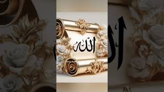 Jader ridoi a ace allahr voi 👆🥰🥰🥰🕋🕋🕋🕋 duet [upl. by Mindi]