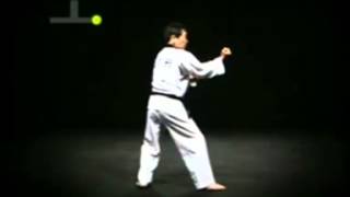 Taekwondo Poomsae Chonkwon  7th DAN [upl. by Sigfried]