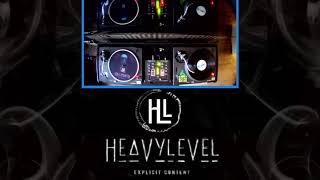 30 min mix with Heavylevel speed garage bassline classics [upl. by Anyela634]