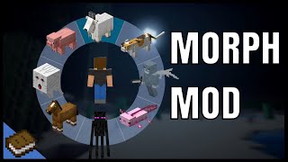 Morph Mod Play as any Mob  MINECRAFT [upl. by Einegue]