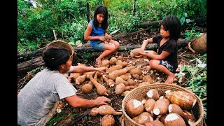 Cresce o número de doenças entre índios por maus hábitos alimentares [upl. by Blodgett]