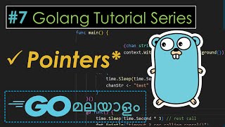 Golang Tutorial Series  Pointers  Part 7  Malayalam Programming [upl. by Dori]