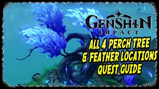 Genshin Impact A Particularly Particular Author Quest Guide All Perch Tree and Feathers [upl. by Phalan]