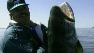 Simply Fishing MONSTER LAKE TROUT WORLD RECORD LAKER [upl. by Ateikan644]