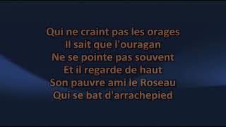 Les Cowboys Fringants  Chêne et roseau  Karaoke  Lyrics [upl. by Fontana577]