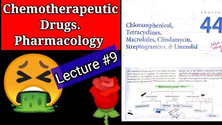 Chemotherapeutic drugs pharmacology lecture9 chapter 44 chloramphenicol tetracycline MACROLIDES [upl. by Aznerol159]