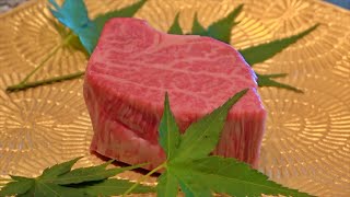 Premium wagyu tenderloin steak lunch course  teppanyaki in Japan [upl. by Hoxsie]