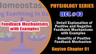 Physiology Series Lect 03  Details of Positive and Negative Feedback Mechanisms in UrduHindi [upl. by Nahtanha]