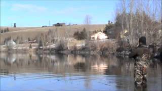 fly fishing for northern pike on the bitterrot river [upl. by Liesa733]