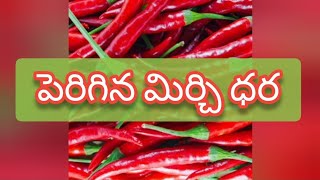 Guntur mirchi market rate today  03092024 [upl. by Areic334]