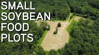 SOYBEAN FOOD PLOTS  How To Plant  Broadcast or Drill [upl. by Jesh]