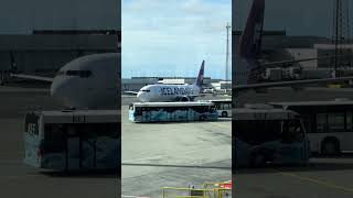 Icelandair ✈️ 🌏🌎🌍✈️ iceland airport fly plane flying [upl. by Carolynne]