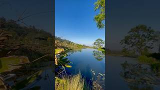 Have You Visited The Maleny Hinterland 😍 [upl. by Dayir]