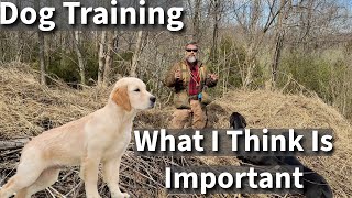 What Stonnie Thinks Is Really Important In Dog Training  Agree or Disagree [upl. by Gerstner]