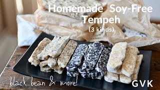 Soy  Free Tempeh 3 kinds [upl. by Holbrooke]