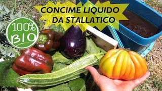 CONCIME LIQUIDO PER ORTO E PIANTE FAI DA TE DA STALLATICO [upl. by Maurie]