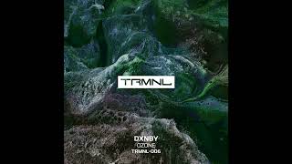 DXNBY  Ozone Marsolo Remix TRMNL006 [upl. by Trueblood]