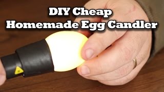 DIY Cheap Homemade Egg Candler [upl. by Ransell]