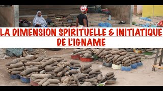 LA FÊTE DE LIGNAME DIMENSION MYSTIQUE CODE INITIATIQUE amp RITES DE LIGNAME LES VÉRITÉS DÉVOILÉES [upl. by Neral684]